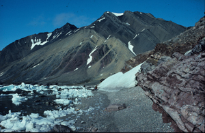 Hyrnefjellantiklinalen i Hornsund med avsetningsbergarter fra perioden mellom karbon og trias, foldet under den tidligtertiære tektoniske fasen