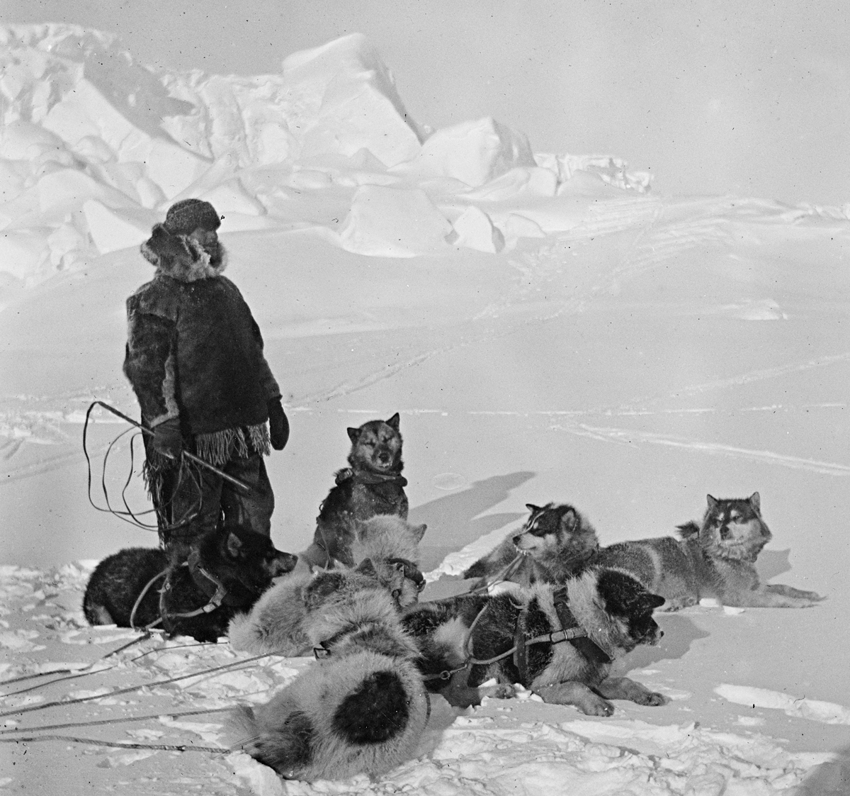 Год окончания экспедиции. Руаль Амундсен Южный полюс. Экспедиция Руаля Амундсена.