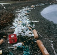 Rubbish along the shoreline