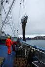 Prøvetaking av bunnprøver ombord på forskningsskipet Lance. Foto: Ingrid Melvær