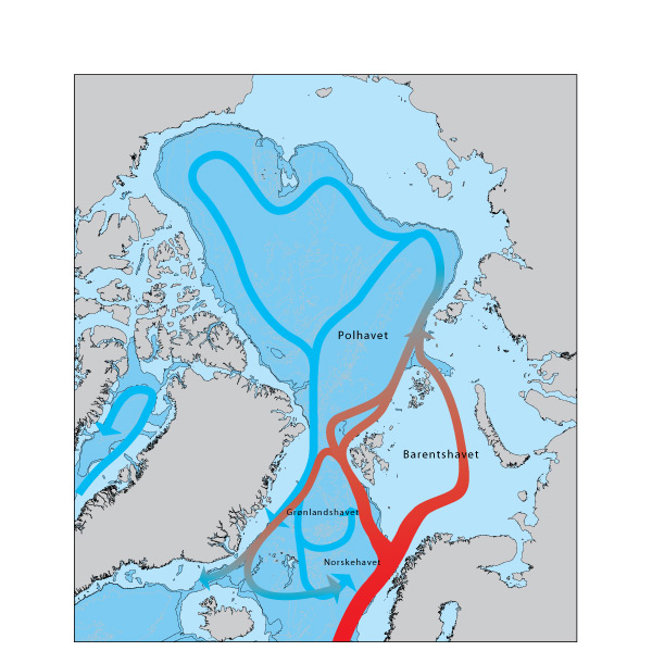 Havstrømmer i Arktis