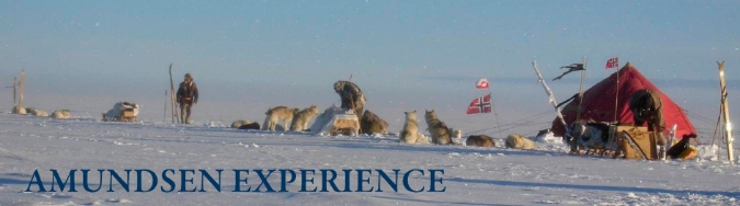 Bilde av telt, mennesker og hunder på Amundsen Experience